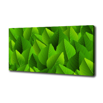 Fotocuadro en lienzo de alta calidad horizontal hojas verdes