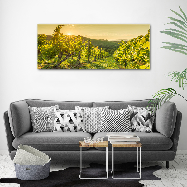Cuadro canvas con impresión uv duradera horizontal Viñedo