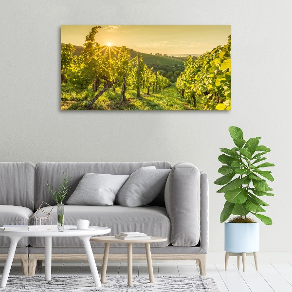 Cuadro canvas con impresión uv duradera horizontal Viñedo