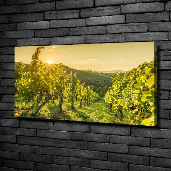 Cuadro canvas con impresión uv duradera horizontal Viñedo