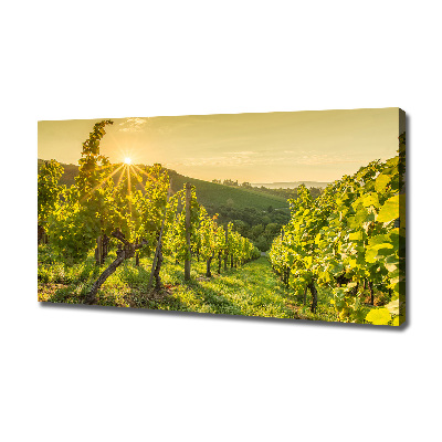 Cuadro canvas con impresión uv duradera horizontal Viñedo