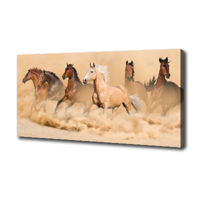 Cuadro canvas con impresión uv duradera horizontal Caballos del desierto
