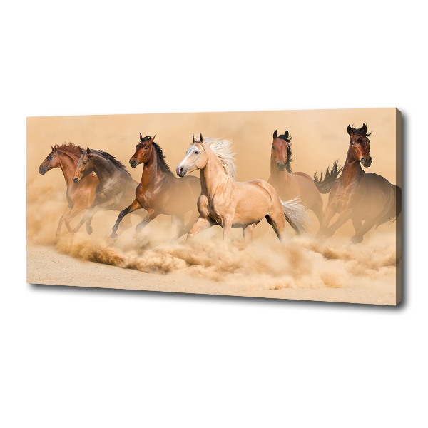 Cuadro canvas con impresión uv duradera horizontal Caballos del desierto