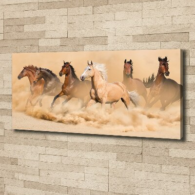 Cuadro canvas con impresión uv duradera horizontal Caballos del desierto