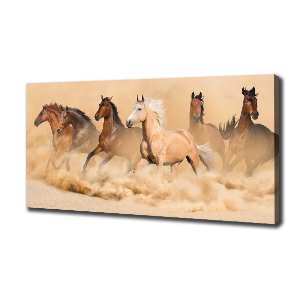 Cuadro canvas con impresión uv duradera horizontal Caballos del desierto