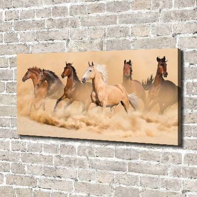 Cuadro canvas con impresión uv duradera horizontal Caballos del desierto