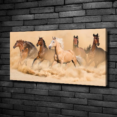 Cuadro canvas con impresión uv duradera horizontal Caballos del desierto