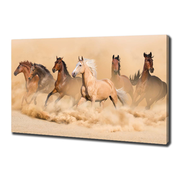Cuadro canvas con impresión uv duradera horizontal Caballos del desierto