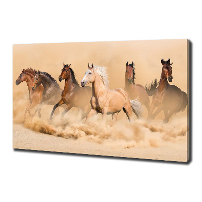 Cuadro canvas con impresión uv duradera horizontal Caballos del desierto