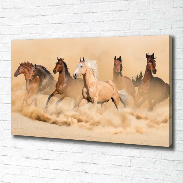 Cuadro canvas con impresión uv duradera horizontal Caballos del desierto