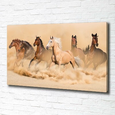 Cuadro canvas con impresión uv duradera horizontal Caballos del desierto