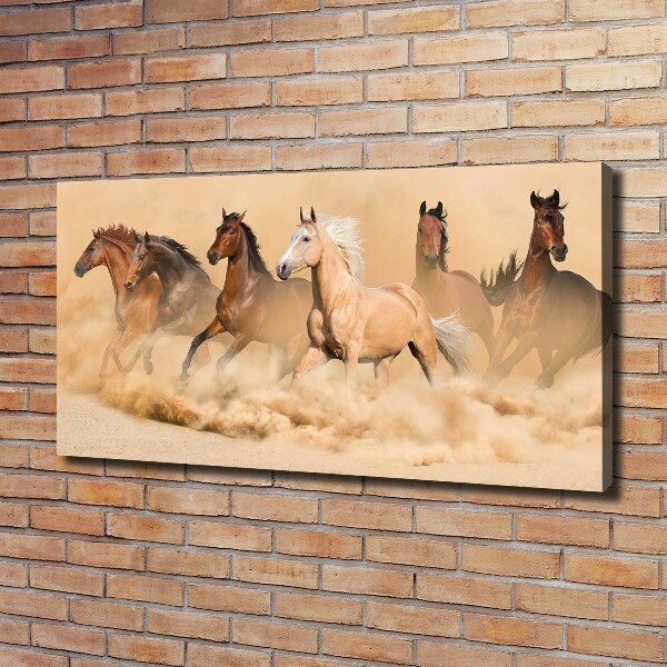 Cuadro canvas con impresión uv duradera horizontal Caballos del desierto