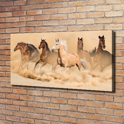 Cuadro canvas con impresión uv duradera horizontal Caballos del desierto