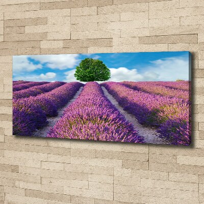 Foto en lienzo con acabado profesional horizontal campo de lavanda