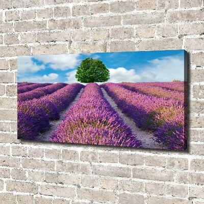 Foto en lienzo con acabado profesional horizontal campo de lavanda