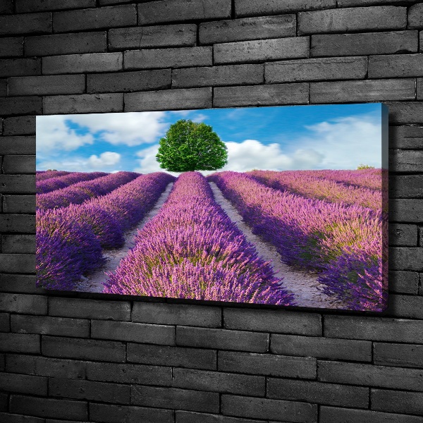 Foto en lienzo con acabado profesional horizontal campo de lavanda
