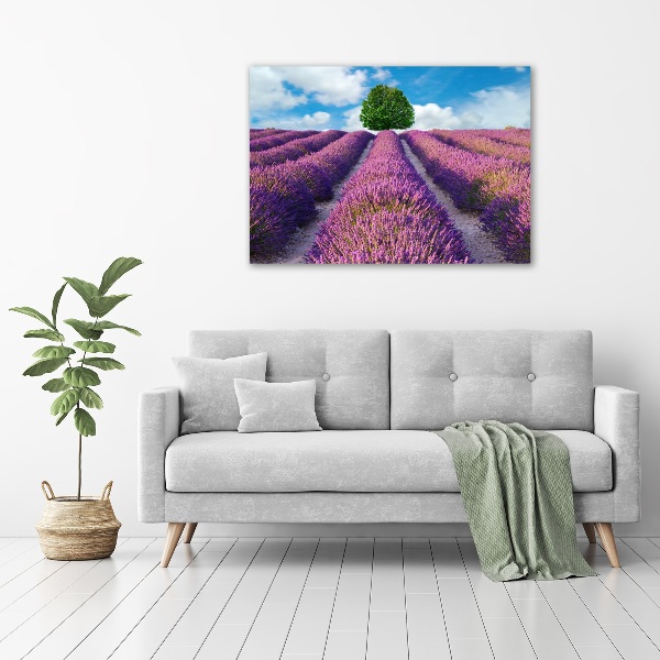 Foto en lienzo con acabado profesional horizontal campo de lavanda
