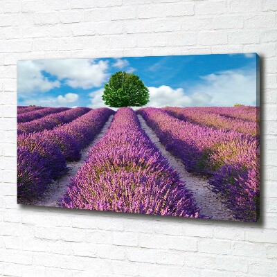 Foto en lienzo con acabado profesional horizontal campo de lavanda