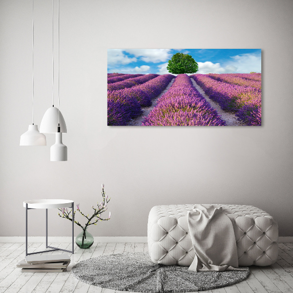 Foto en lienzo con acabado profesional horizontal campo de lavanda