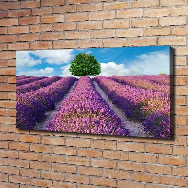Foto en lienzo con acabado profesional horizontal campo de lavanda