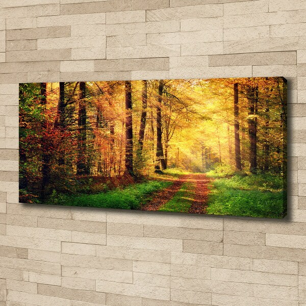 Cuadro canvas con impresión uv duradera horizontal Bosque en otoño