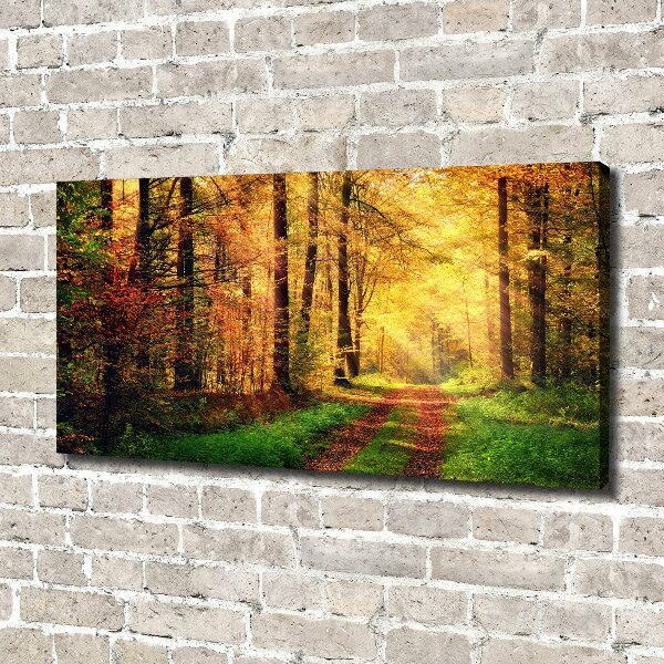 Cuadro canvas con impresión uv duradera horizontal Bosque en otoño