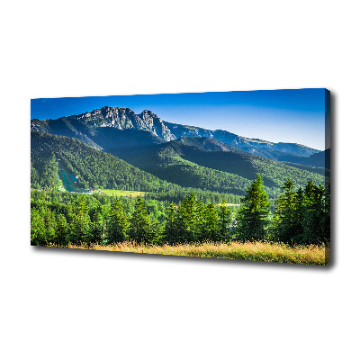 Cuadro canvas con impresión uv duradera horizontal Salto de esquí en los montes Tatra