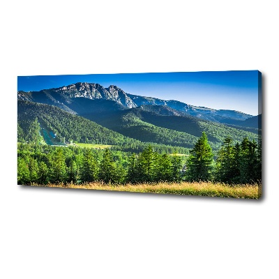 Cuadro canvas con impresión uv duradera horizontal Salto de esquí en los montes Tatra