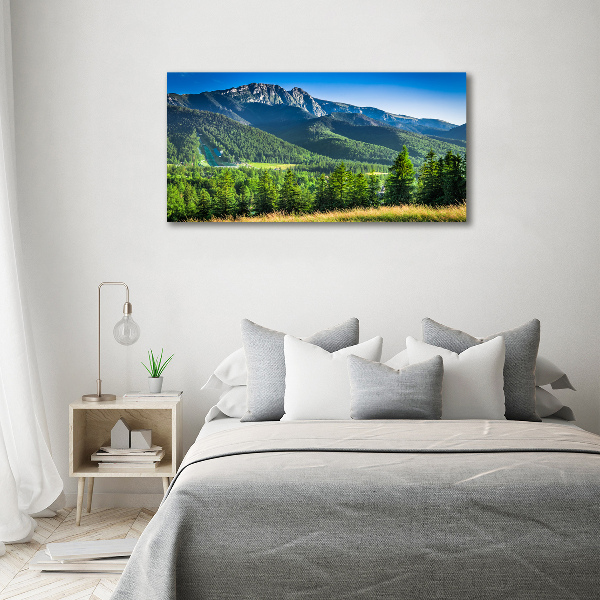 Cuadro canvas con impresión uv duradera horizontal Salto de esquí en los montes Tatra