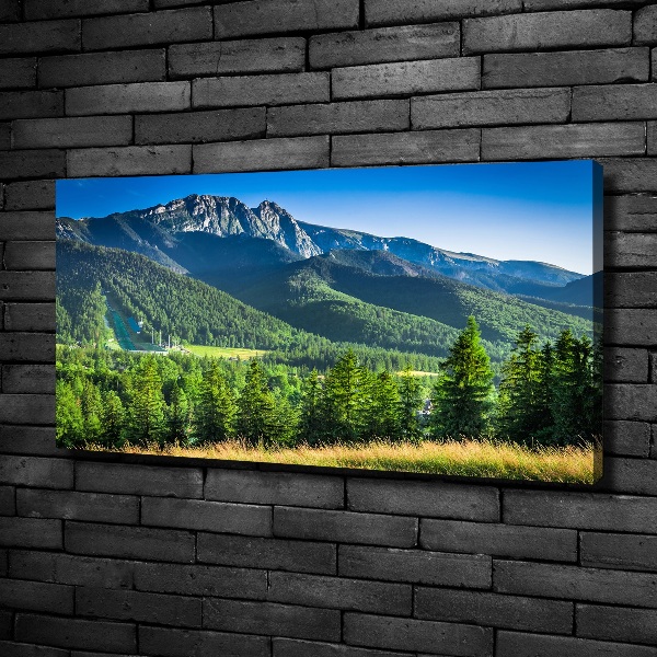 Cuadro canvas con impresión uv duradera horizontal Salto de esquí en los montes Tatra