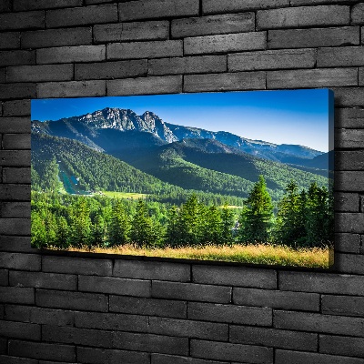 Cuadro canvas con impresión uv duradera horizontal Salto de esquí en los montes Tatra