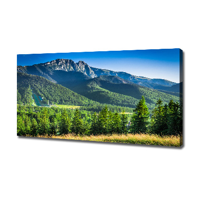 Cuadro canvas con impresión uv duradera horizontal Salto de esquí en los montes Tatra