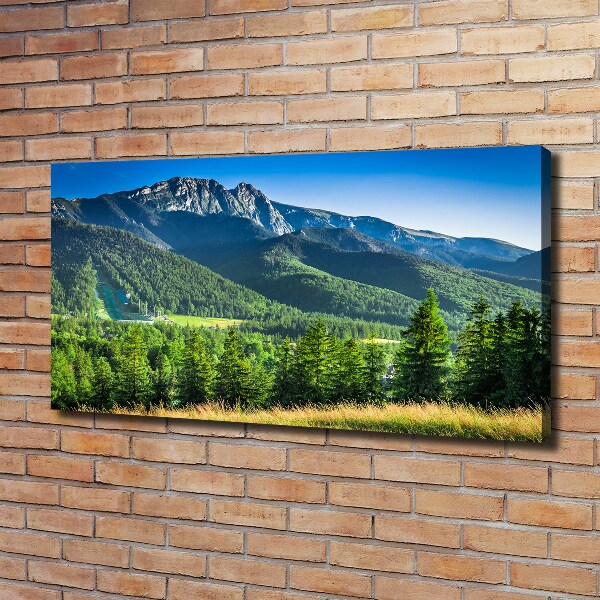 Cuadro canvas con impresión uv duradera horizontal Salto de esquí en los montes Tatra