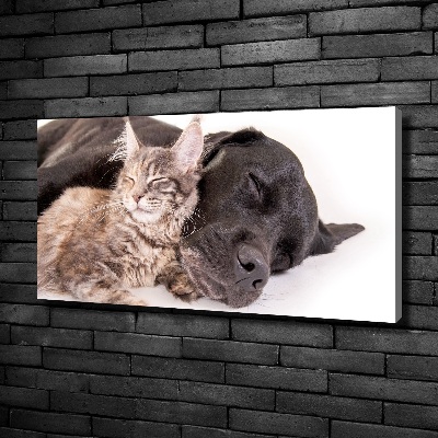 Fotocuadro en lienzo de alta calidad horizontal Perro con gato
