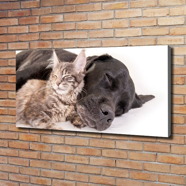 Fotocuadro en lienzo de alta calidad horizontal Perro con gato