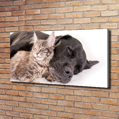 Fotocuadro en lienzo de alta calidad horizontal Perro con gato