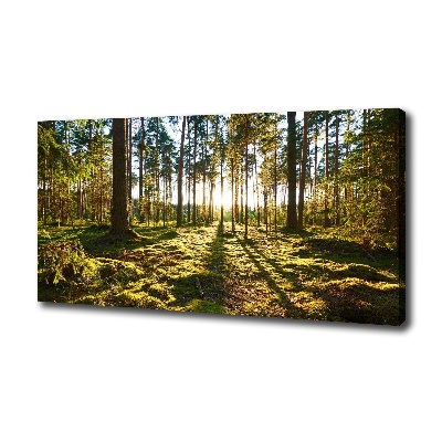 Cuadro canvas moderno de gran formato horizontal bosque de pinos