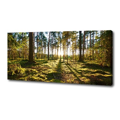 Cuadro canvas moderno de gran formato horizontal bosque de pinos