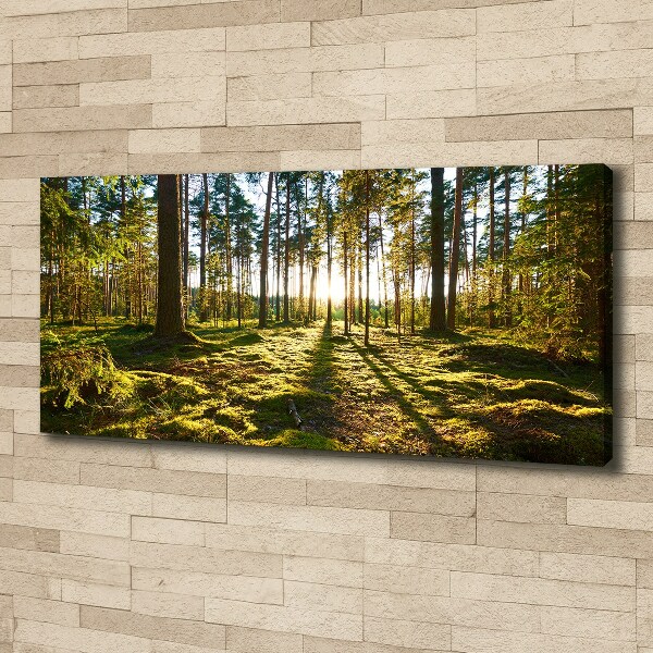 Cuadro canvas moderno de gran formato horizontal bosque de pinos