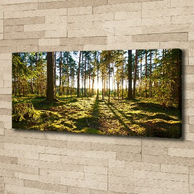 Cuadro canvas moderno de gran formato horizontal bosque de pinos