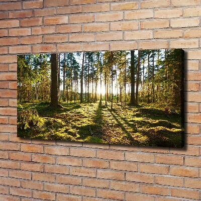 Cuadro canvas moderno de gran formato horizontal bosque de pinos