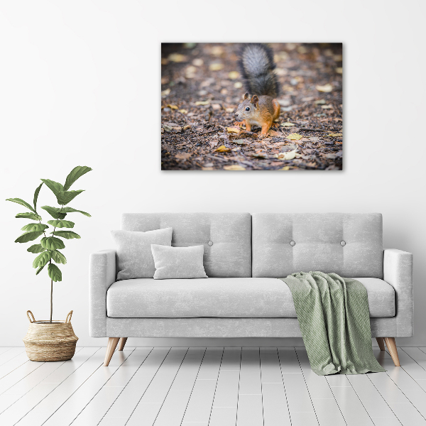 Cuadro canvas moderno de gran formato horizontal Ardilla