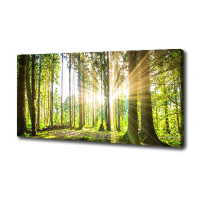 Cuadro canvas moderno de gran formato horizontal Bosque al sol