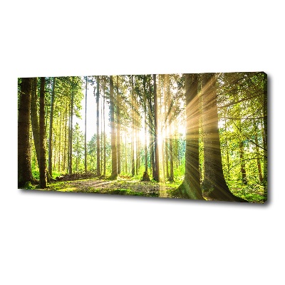 Cuadro canvas moderno de gran formato horizontal Bosque al sol