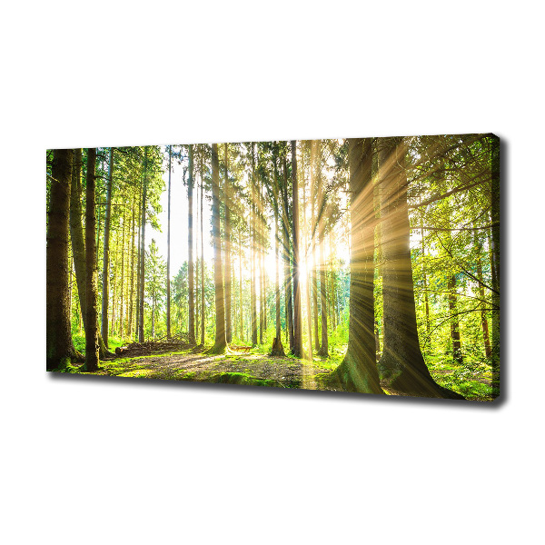 Cuadro canvas moderno de gran formato horizontal Bosque al sol