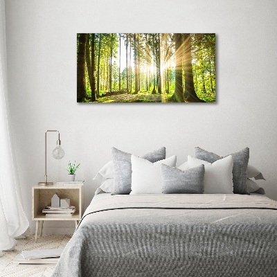 Cuadro canvas moderno de gran formato horizontal Bosque al sol