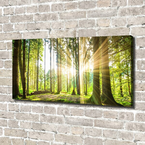 Cuadro canvas moderno de gran formato horizontal Bosque al sol