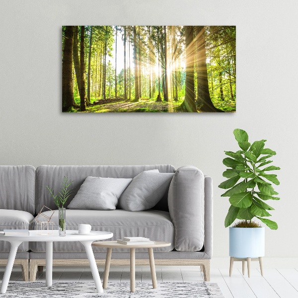 Cuadro canvas moderno de gran formato horizontal Bosque al sol