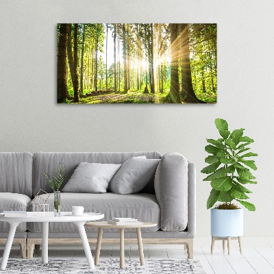 Cuadro canvas moderno de gran formato horizontal Bosque al sol