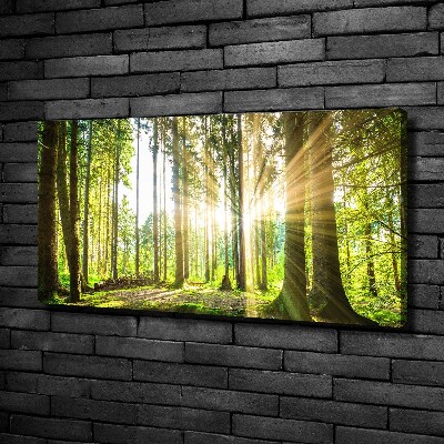Cuadro canvas moderno de gran formato horizontal Bosque al sol